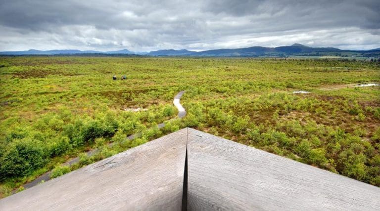 Ending The Sale Of Peat In Scotland