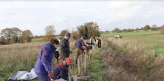 Volunteers Invited To Charity tree-planting in Kirtlebridge, Dumfries and Galloway 