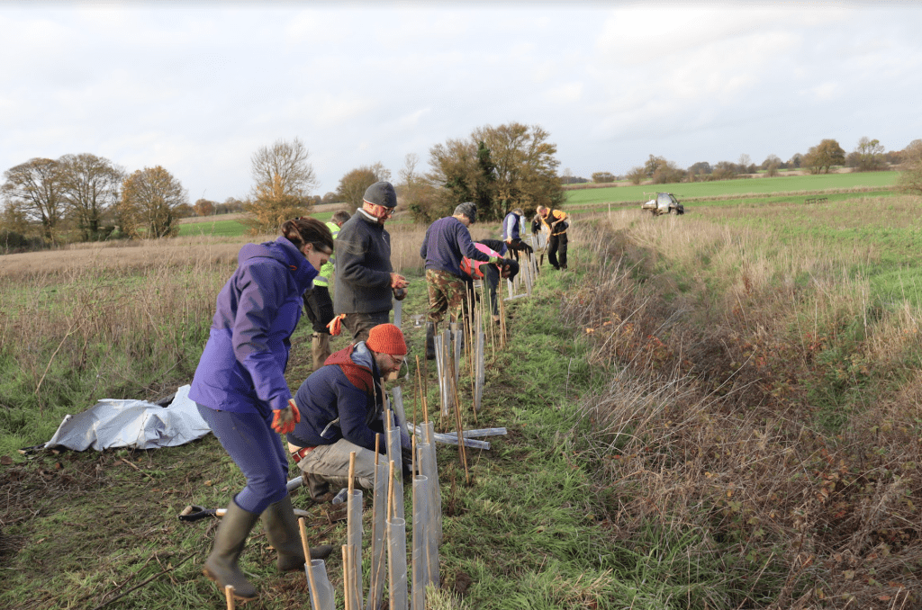 Volunteers Invited To Charity tree-planting in Kirtlebridge, Dumfries and Galloway 