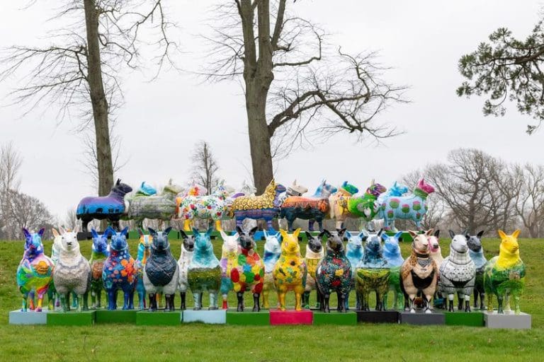 EWE Won’t Believe Your Eyes – Flock to The Show Sheep To Visit Dumfries and Galloway