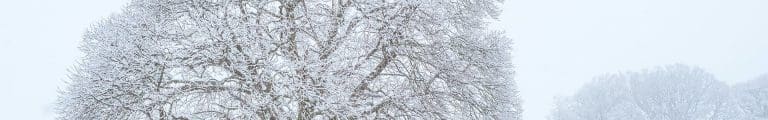 Turning Colder With Snow On The Way