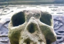 New Anwoth Tour Marks Wicker Man Anniversary
