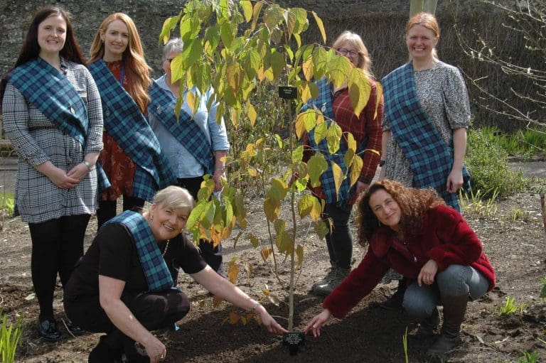 Rare tree planted in region to honour Queen Elizabeth II