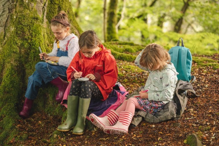 ‘Fantastic Tree for The Future’ Exhibition Comes to Castle Douglas Gallery, 26th-29th May
