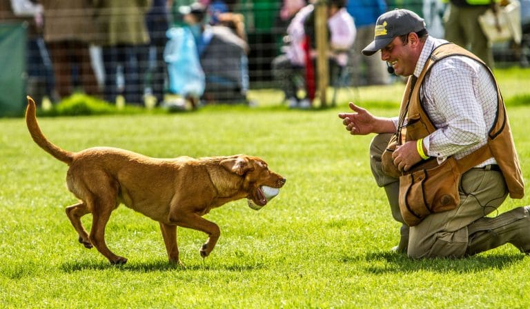 Headliners revealed for Galloway Country Fair 2023