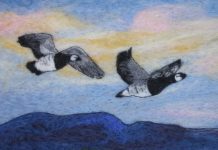 View the Charms of Nature In New Exhibition at WWT Caerlaverock