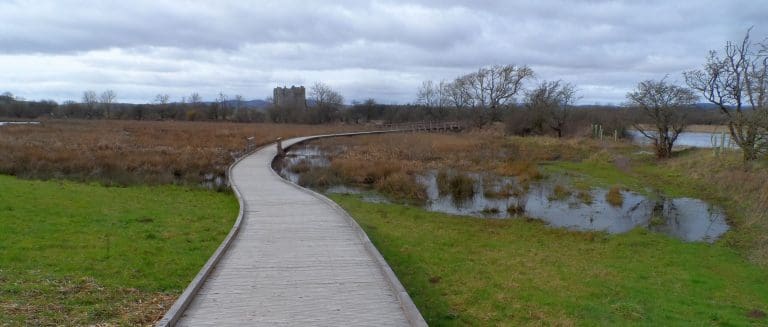 Countdown to 2023 Newton Stewart Walking Festival