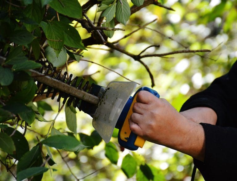 Over four million gardeners putting their hearing at risk