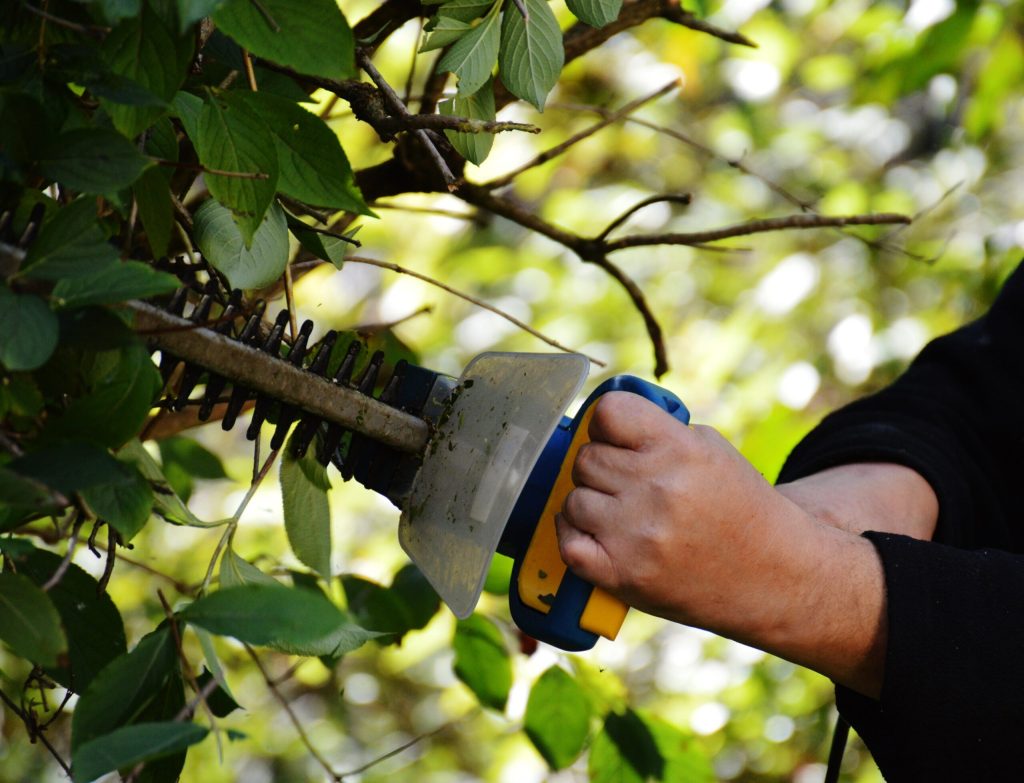 Over four million gardeners putting their hearing at risk