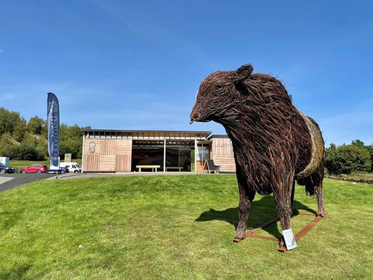 Kelton Set To Return to Crawick Multiverse for Summer Grazing