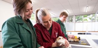 Foundation gift funds education opportunities at SRUC