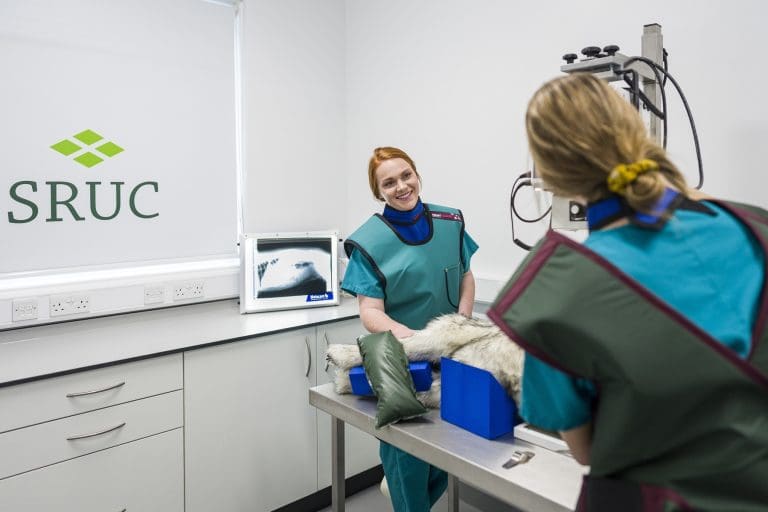 SRUC School of Veterinary Medicine highlighted at Royal Highland Show