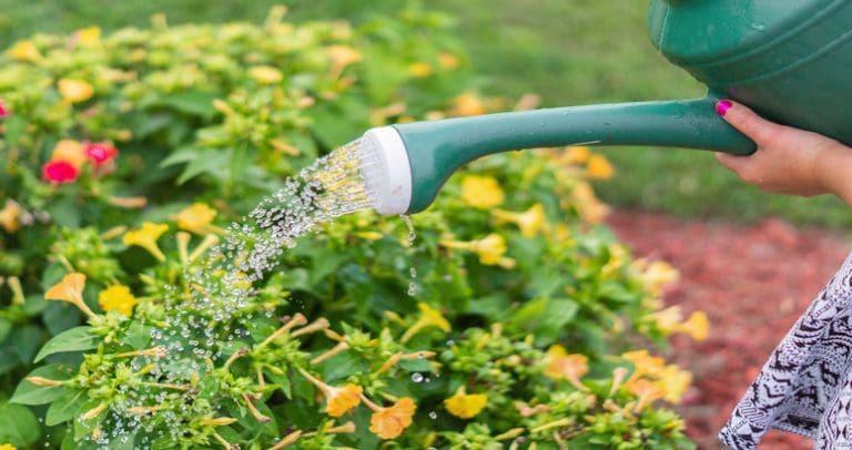 WATER SHORTAGE RISK INCREASES EVEN AFTER HEAVY RAINFALL