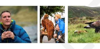 Iolo Williams revealed as keynote speaker for pioneering south of Scotland eagle festival
