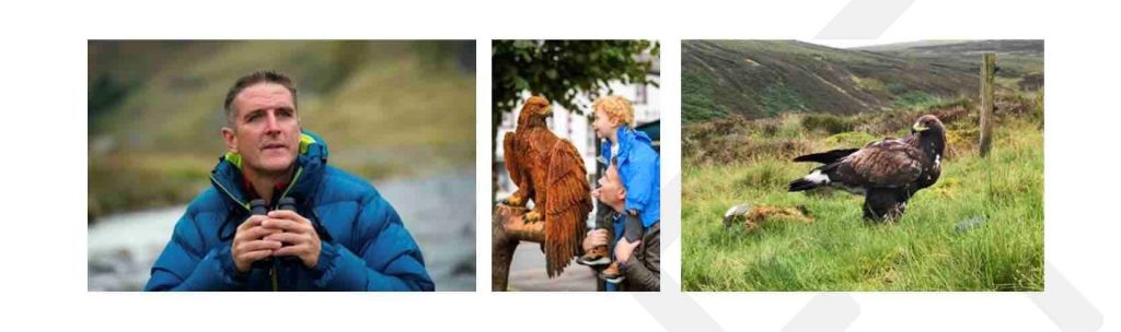 Iolo Williams revealed as keynote speaker for pioneering south of Scotland eagle festival