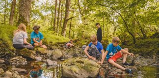 Galloway Glens ‘Go Wild’ Outdoor Summer Camps are now open for public bookings!