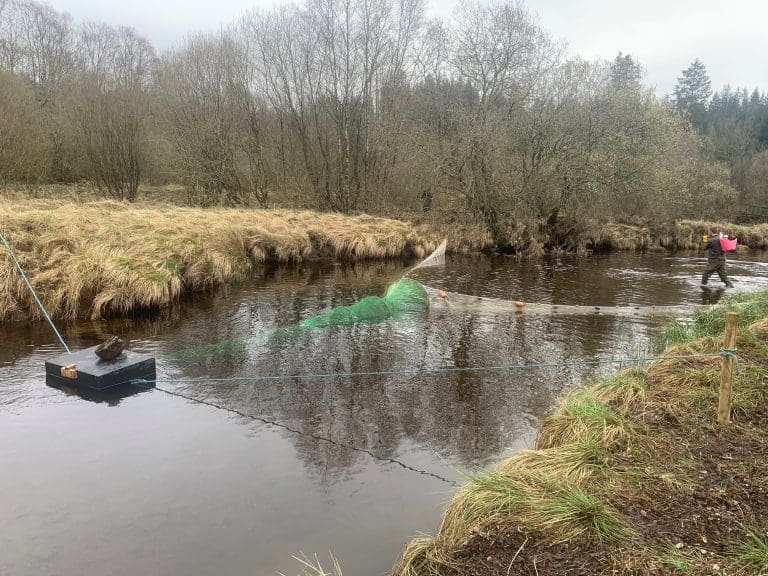 Tracking a Second Year of Salmon Migration in Galloway