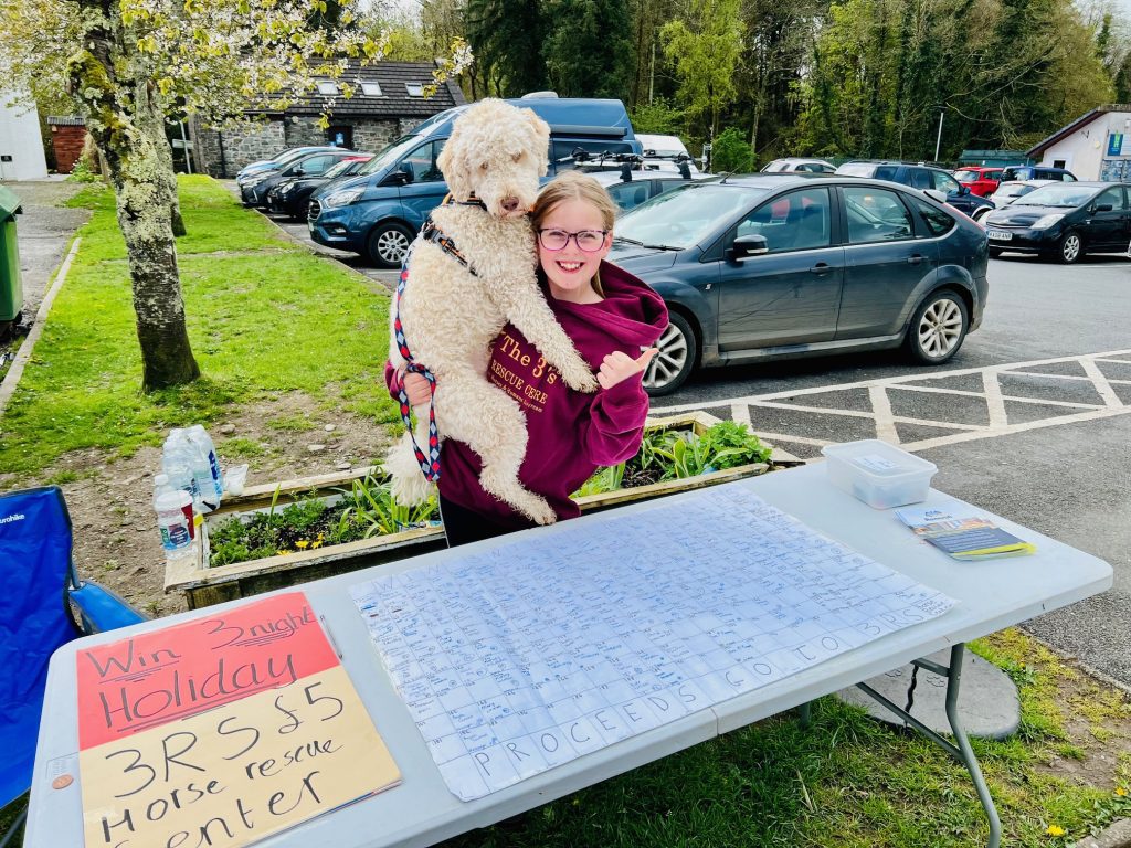 ERIN IS STEPPING TO RAISE MONEY FOR LOCAL HORSE SANCTUARY
