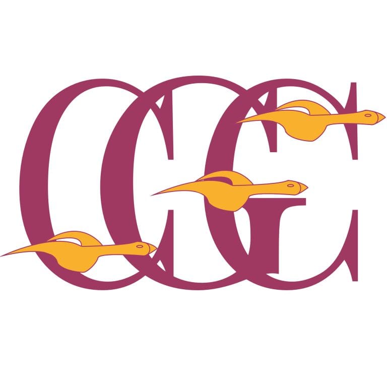 Galloway seconds Lose Out To Milngavie - Cricket News