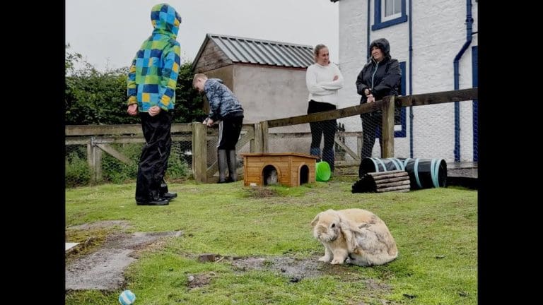 Mossburn Community Farm Summer Club 2023: A Sanctuary for Animal Lovers