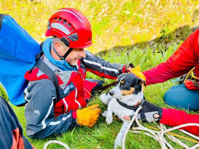 Dog Rescued After 60 Metre Fall At Grey Mares Tail