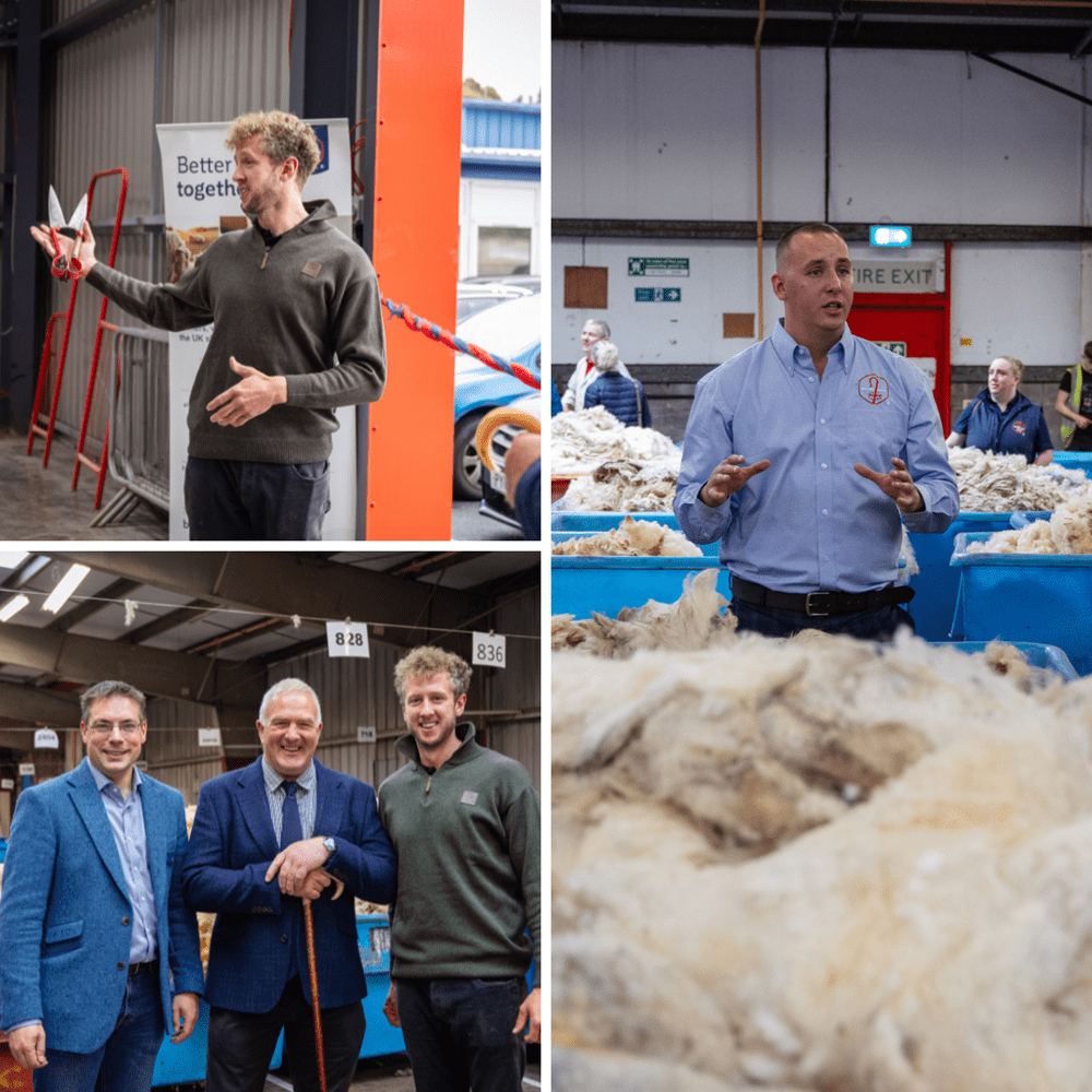 New British Wool Depot Opens in South Of Scotland