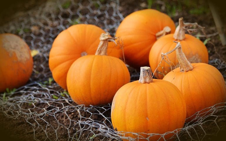 New Halloween Event Comes to Drumlanrig Castle