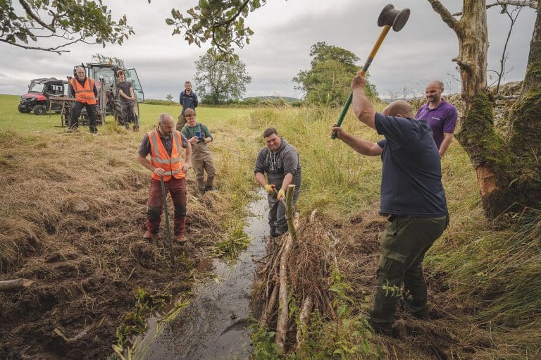 ‘Balance in Nature’ Learning Resources From The NTS Threave Landscape Restoration Project Are Launched