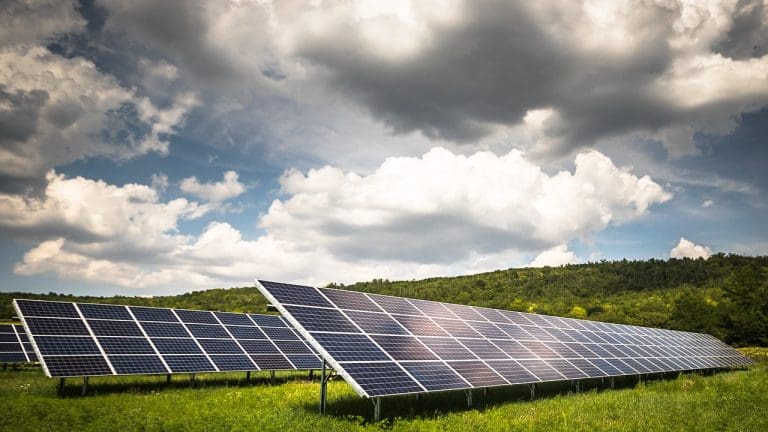Chairman’s Decisive Vote Clears the Path for Huge Solar Farm Near Borgue