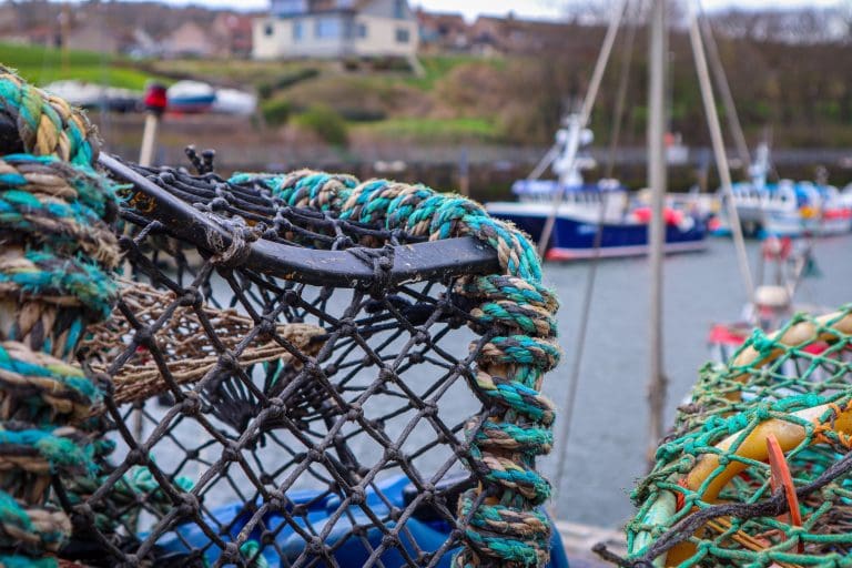 Poll: 9 In 10 In Dumfries & Galloway Support Protecting Fishing Fleets