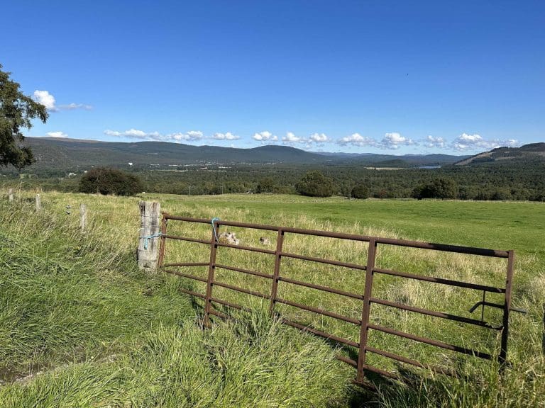 Major Report Reveals Large Growth In Scottish Land Value