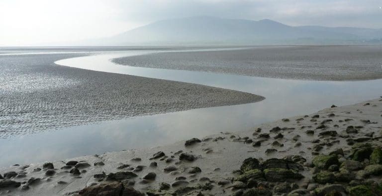 Have Your Say On The Future of the Solway Coast & the Local Marine Environment
