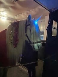 Wigtownshire Based Horse Therapy Centre Offering Festive Fun