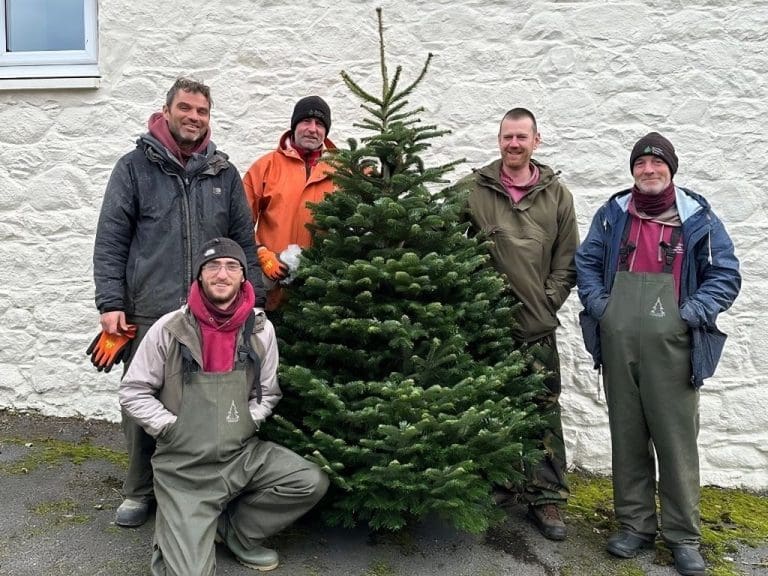 Harvesting Happiness: Scottish Christmas Trees Tops Charts & Teams Up with Santa for a Festive Cause