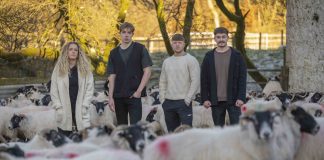 GSA Biosphere raises over £13,000 through Crowdfunding to support Scottish Blackface wool