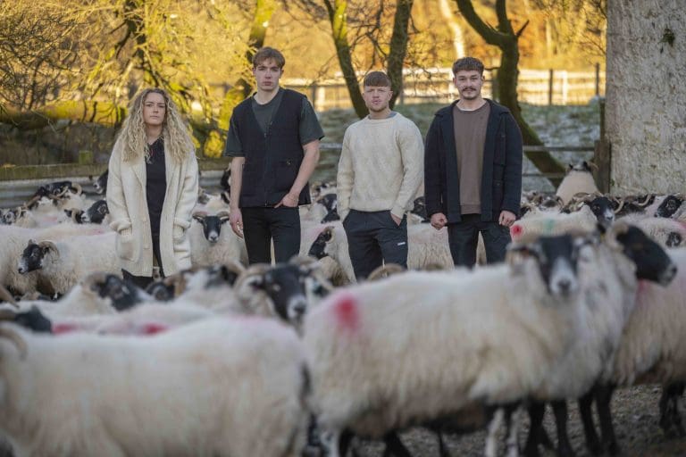 GSA Biosphere raises over £13,000 through Crowdfunding to support Scottish Blackface wool