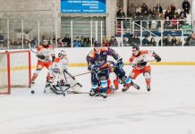 Mixed Fortunes For Sharks Against Steeldogs