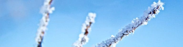 Forecast Snow Could Cause Disruption Next Week
