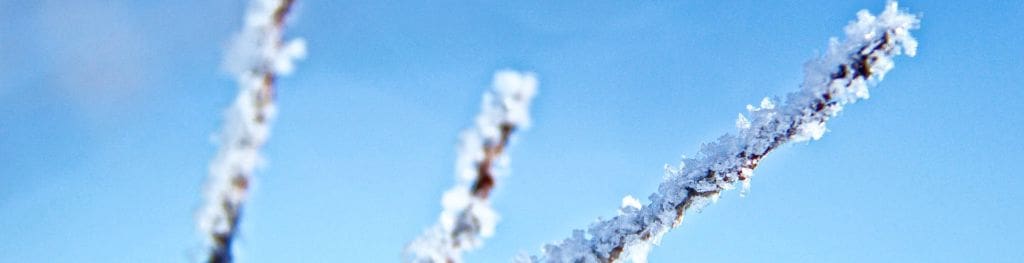 Forecast Snow Could Cause Disruption Next Week