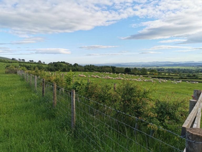 Fighting for Nature on a Hill farm