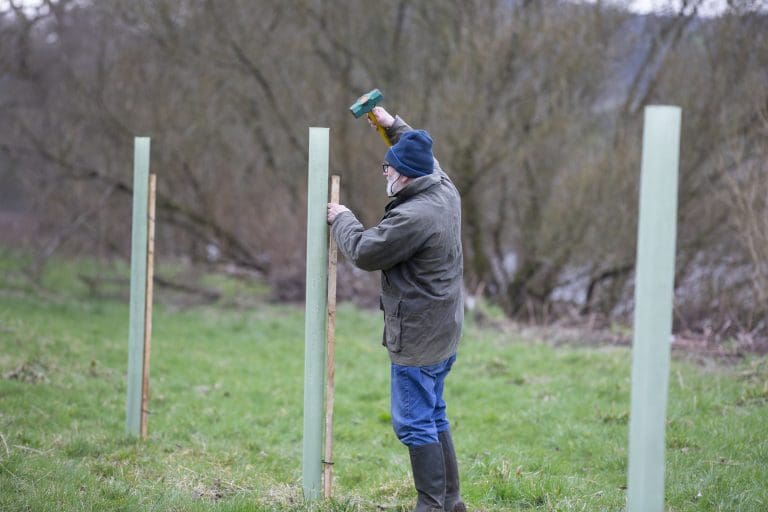 Volunteers Gather For Tree Planting on Kingholm Quay Path