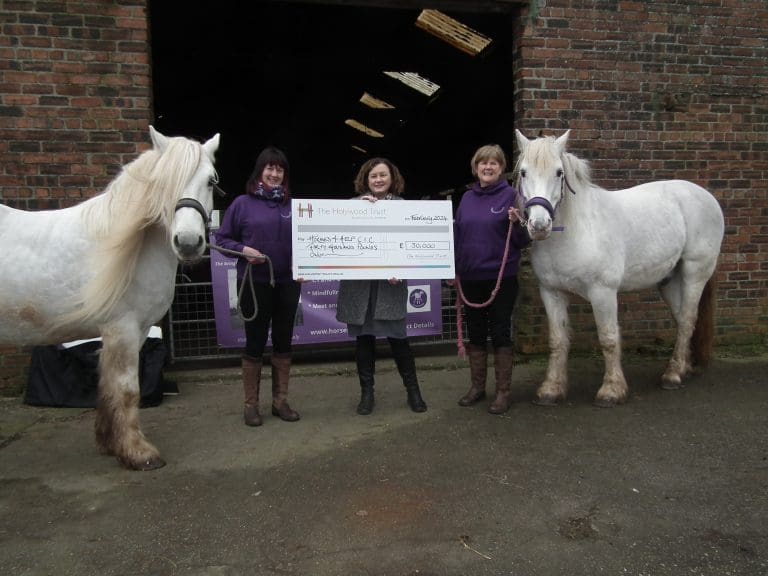 Holywood Trust Support Horses4Help