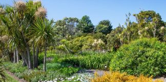 Logan, Scotland’s most exotic garden, reopens for spring 2024