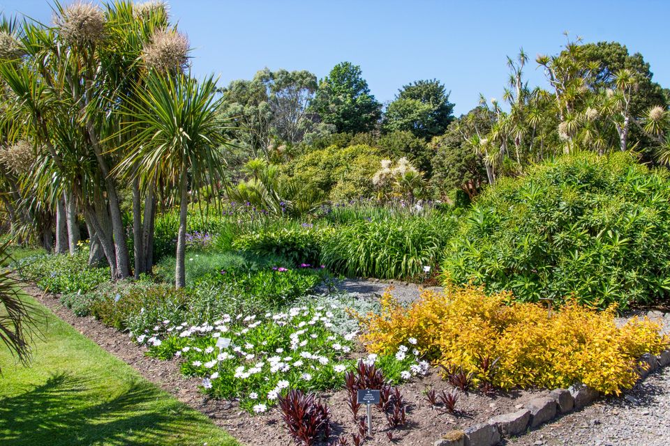 Logan, Scotland’s most exotic garden, reopens for spring 2024