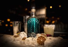 Dark Art Distillery launch first Scottish Blue Weber Agave Spirit on International Dark Sky Week