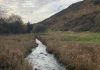 Local charity buys land near Auldgirth for environmental project