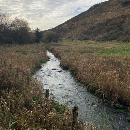 Local charity buys land near Auldgirth for environmental project