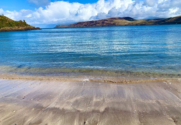 Galloway & Southern Ayrshire Biosphere Brings ‘Seashore Safari’ to Kirkcolm