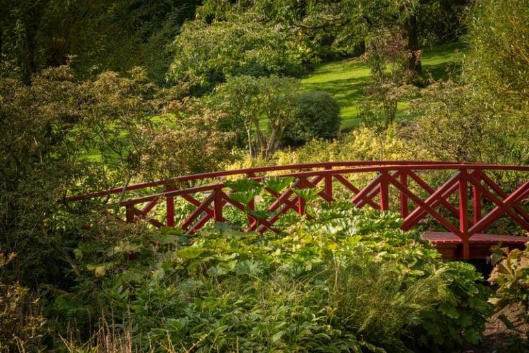 Dabton House Is Offering A Limited Number Of Guided Garden Tours This June