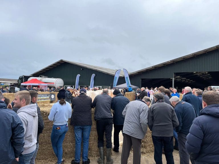 Forsyth Family Host Holstein Club Stock Judging